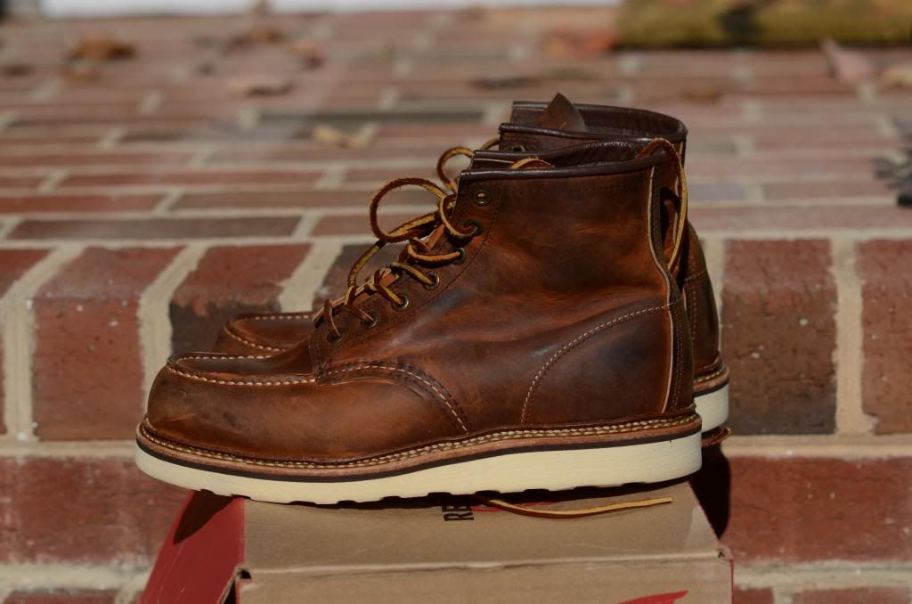 DSC_1991_zps211cb26f.jpg