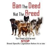 stop BSL Pictures, Images and Photos