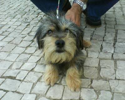Imagem