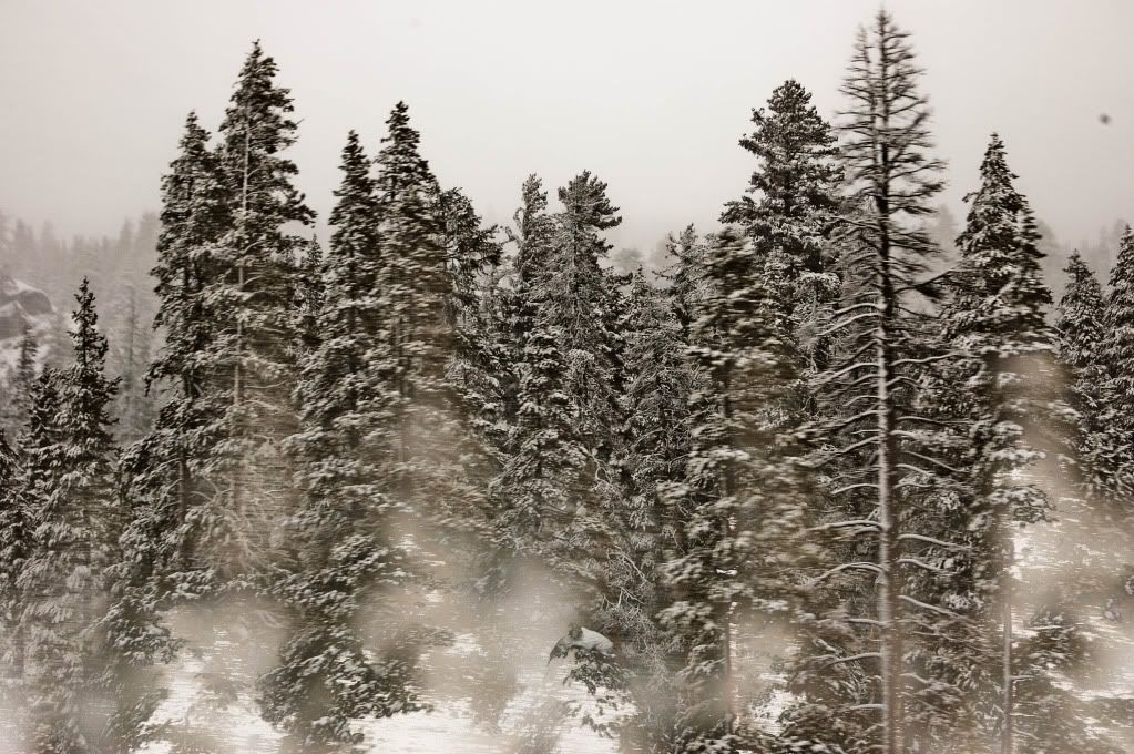 donner summit weather. Donner Summit in the Sierra