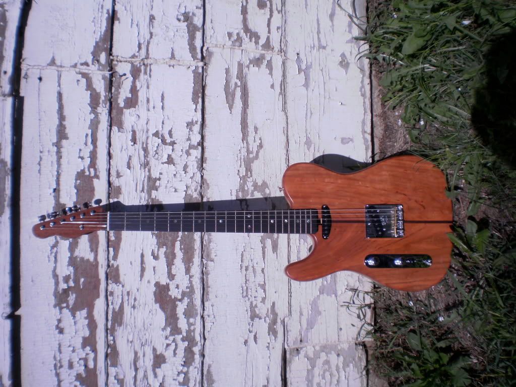 otterhound lefty tele