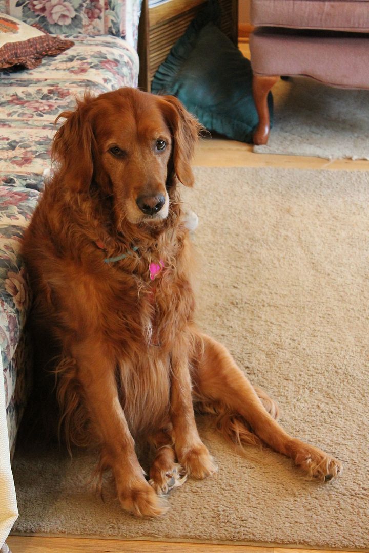  photo 003_zpsdgb8iud5.jpg