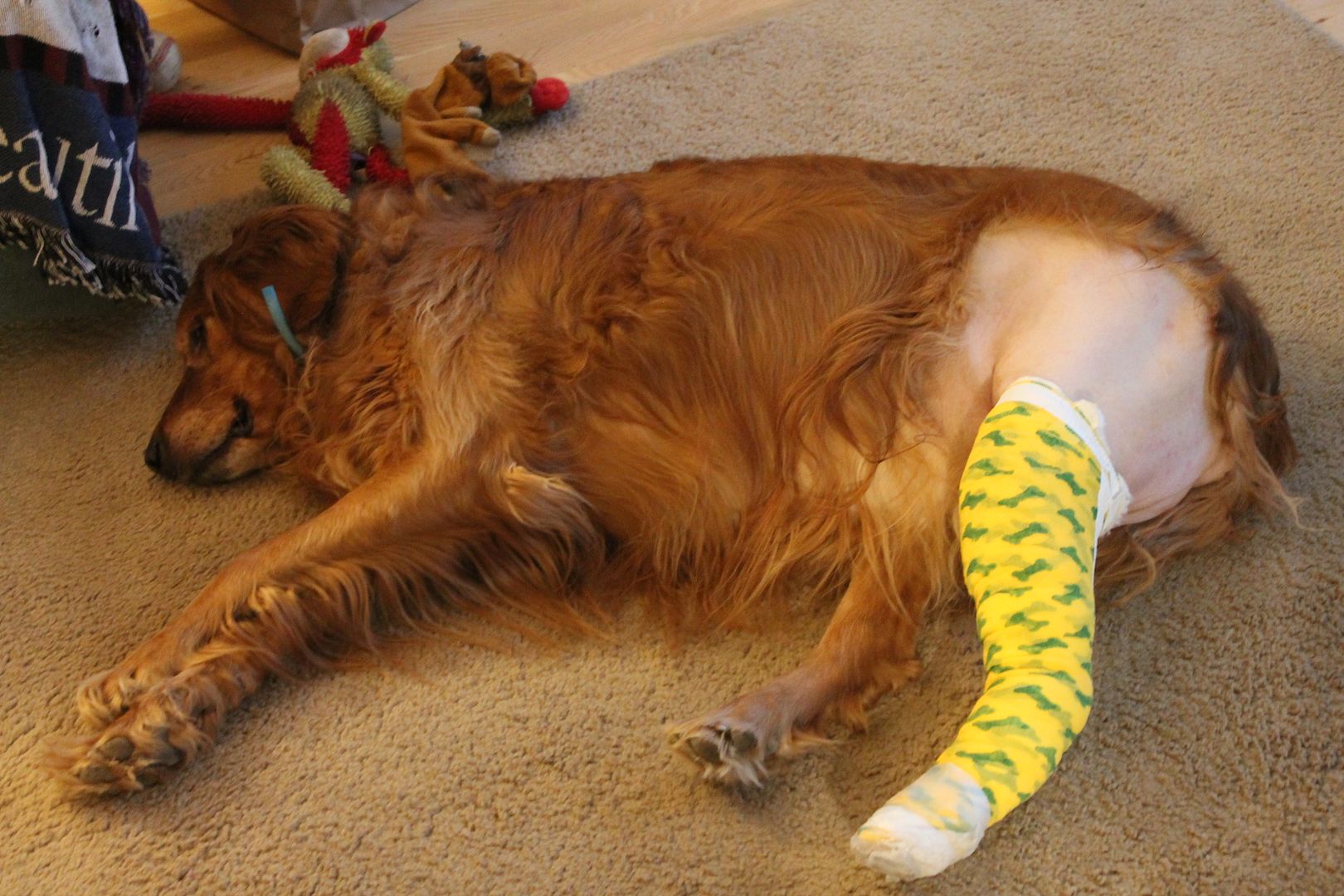  photo 004_zpskxbtdy1c.jpg