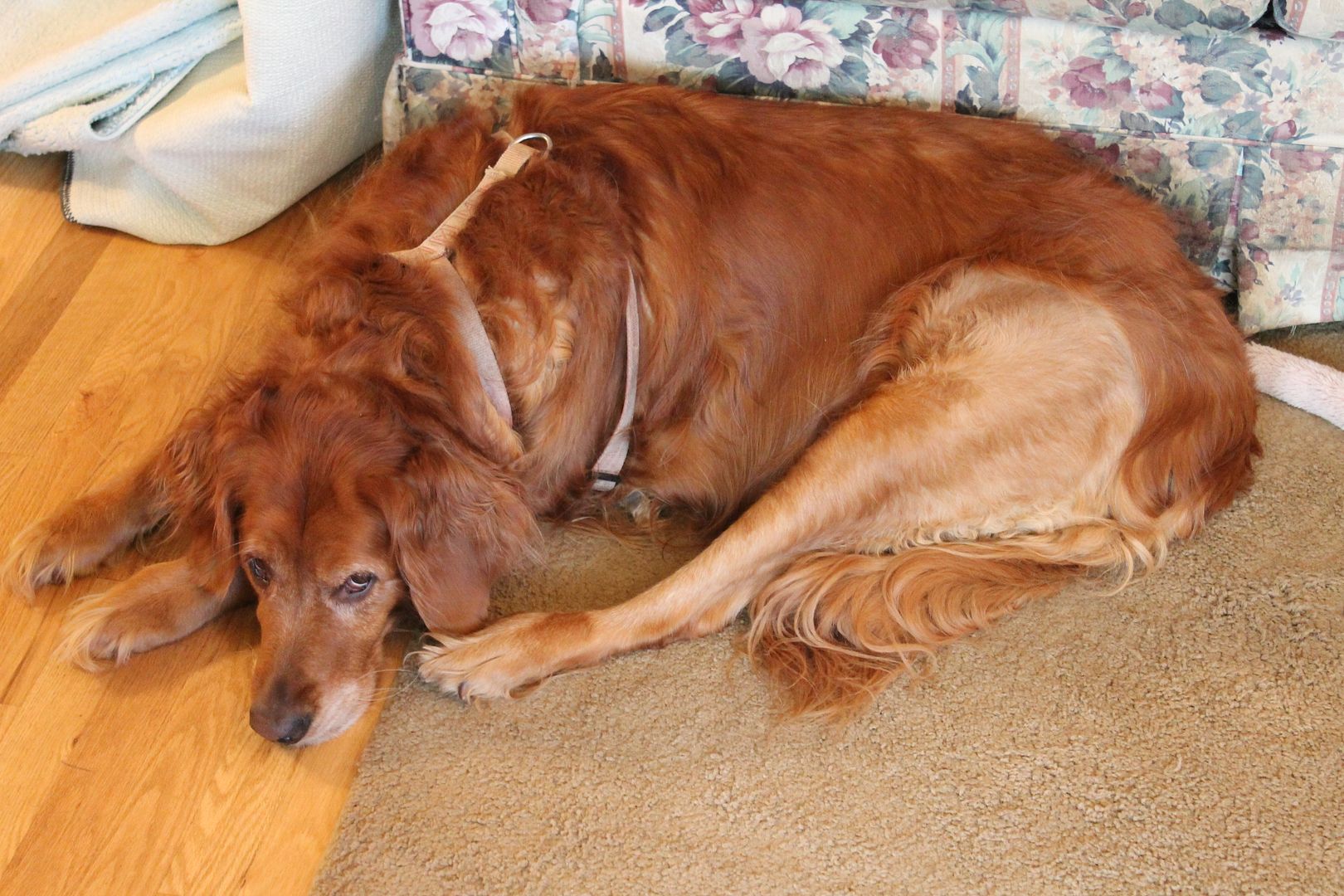  photo 005_zpscrqfybki.jpg