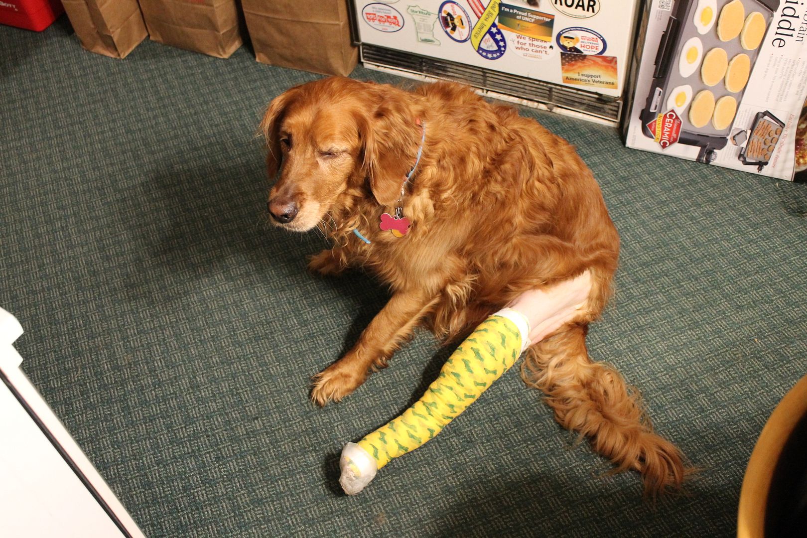  photo 006_zps6dzy0eqt.jpg