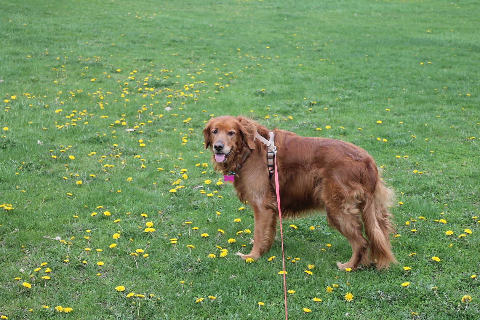 photo 007_zpsoyrpmjtr.jpg