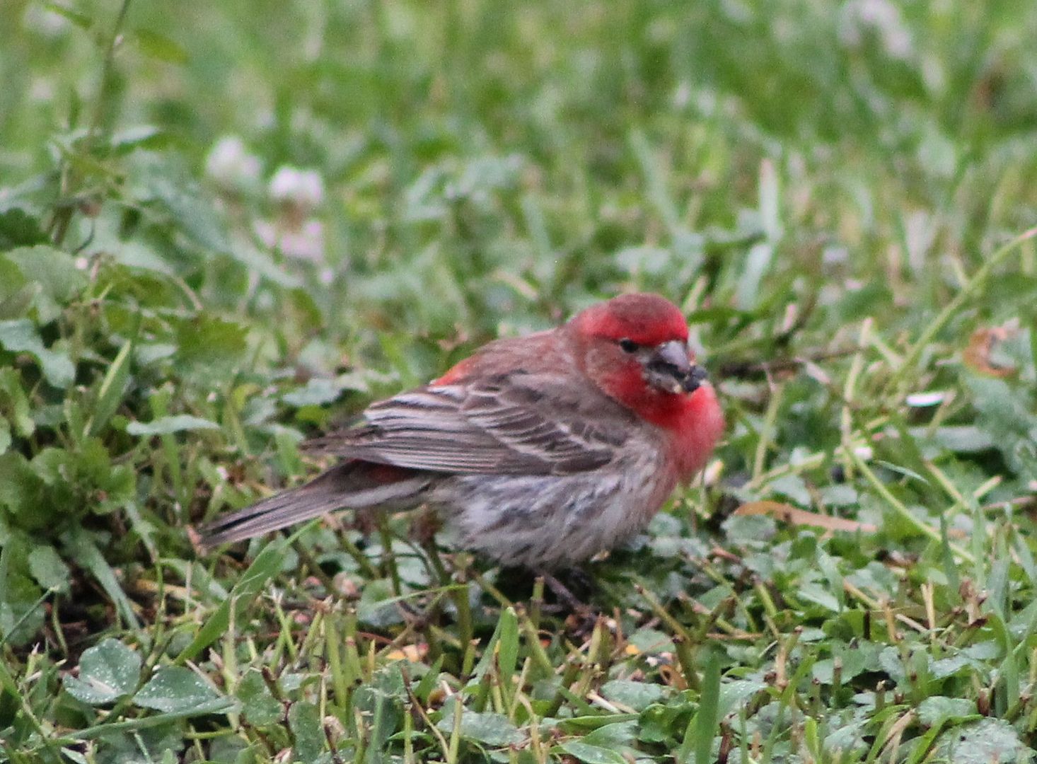  photo 020_zpsjffkqm7b.jpg