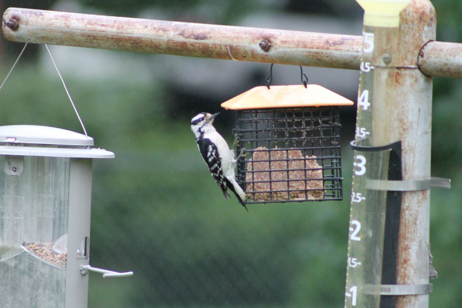  photo 022_zpsjdlxfhop.jpg