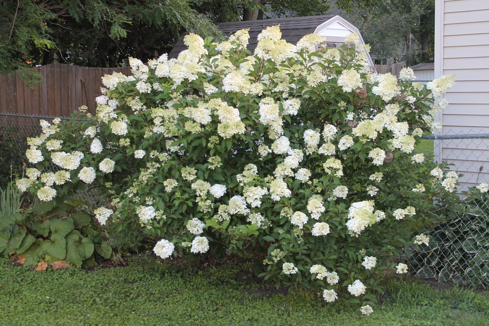  photo 158_zpsahqkhf8p.jpg