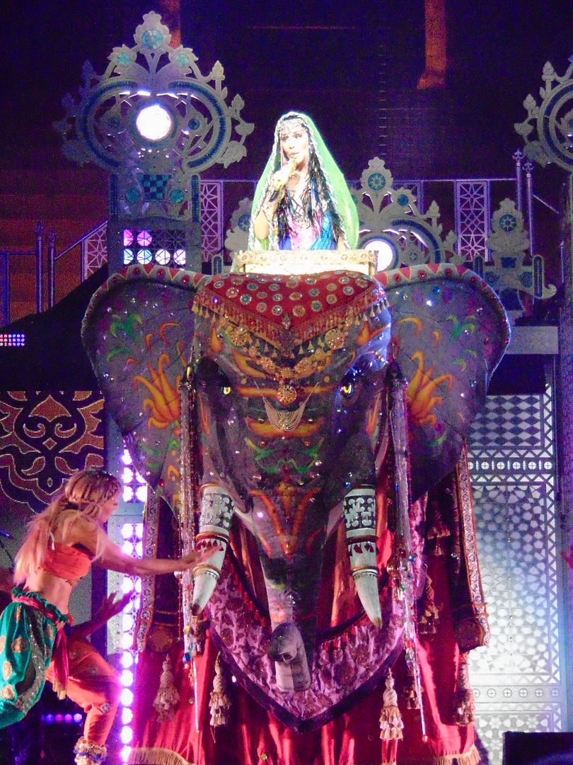  photo 589_zps8r7hslwg.jpg