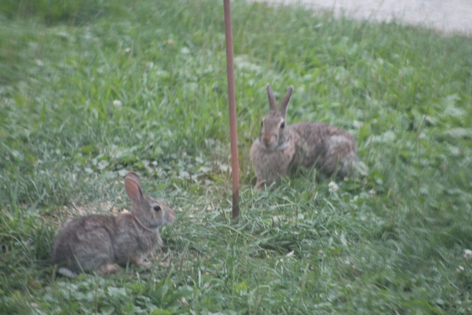  photo IMG_3954_zpsr0te07yr.jpg