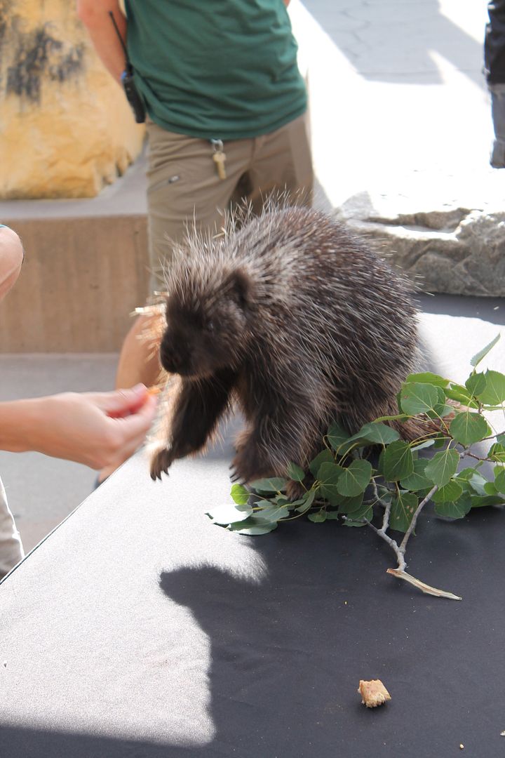 photo 001_zpsg150r0dr.jpg