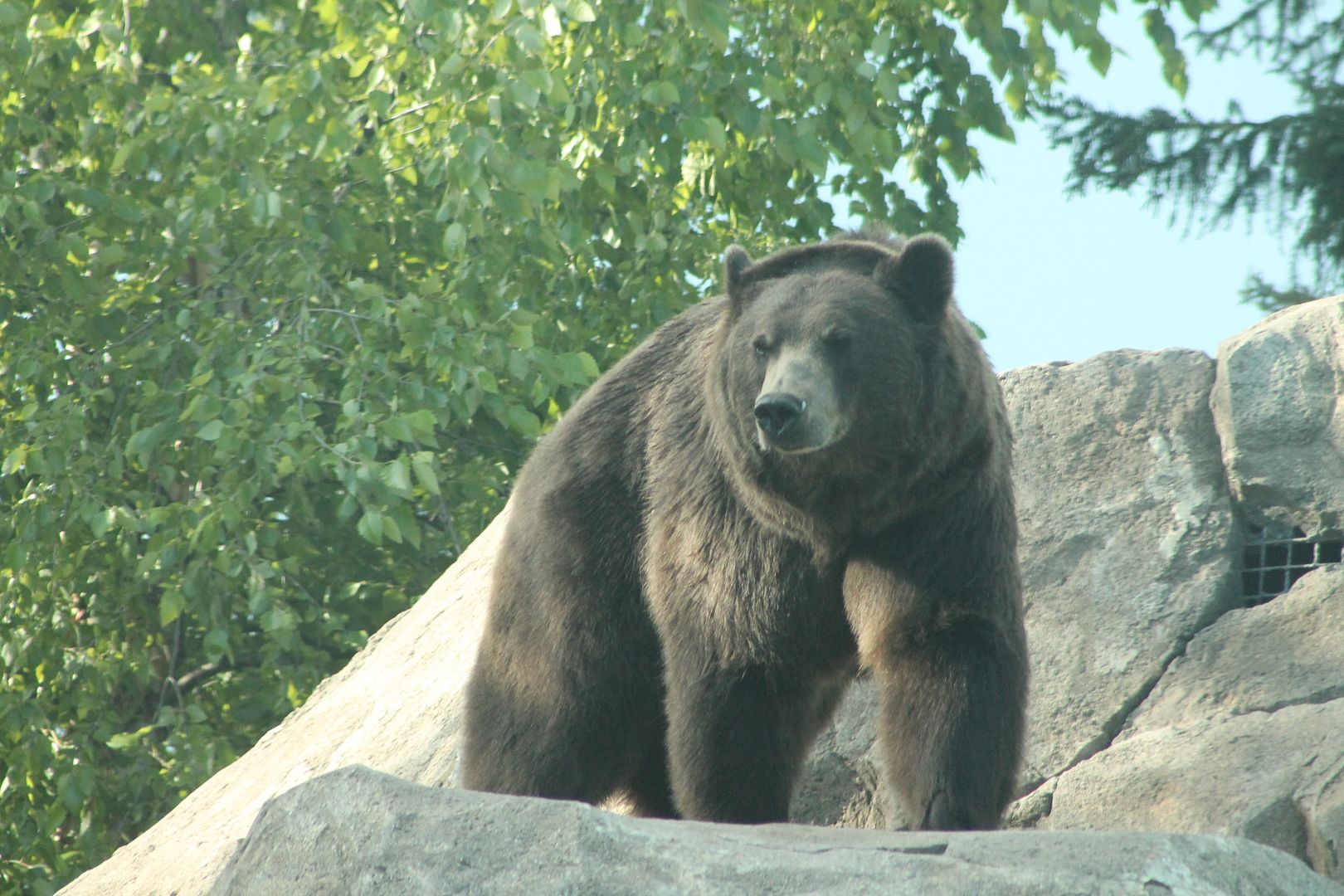 photo 004_zpscodcagtj.jpg