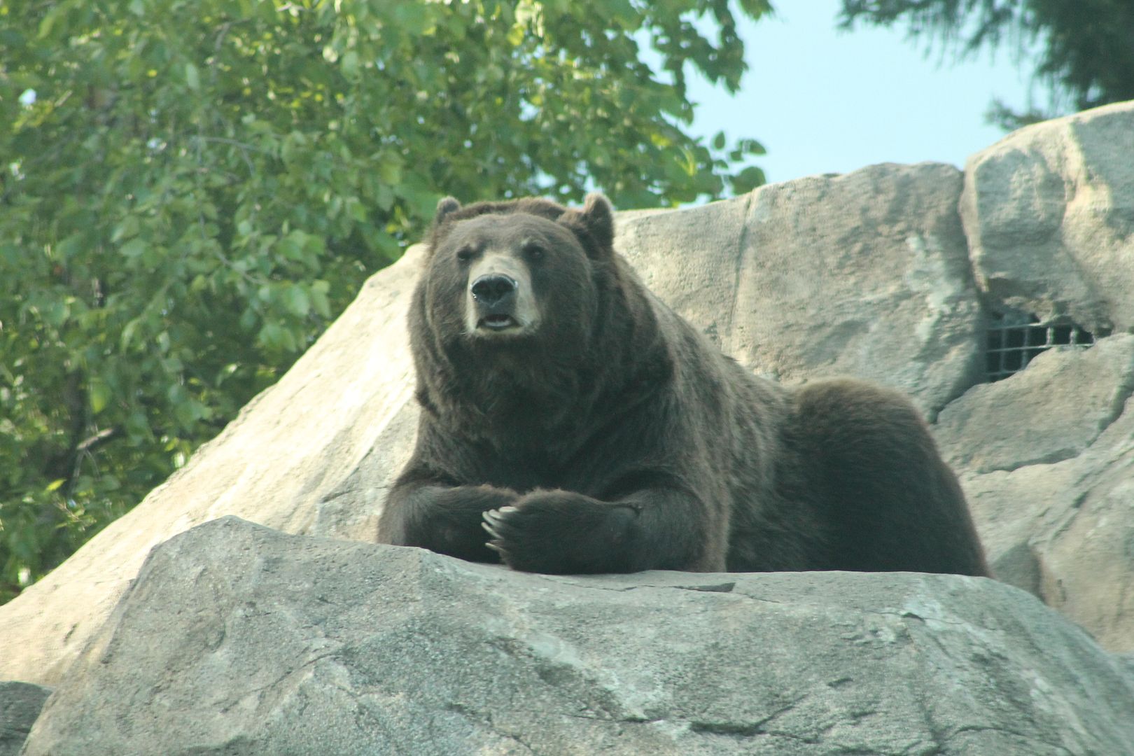 photo 007_zpsti6jida5.jpg