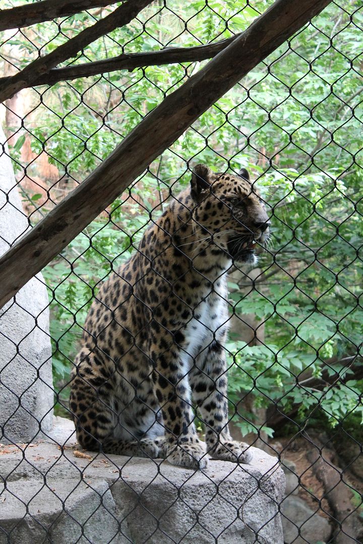 photo 016_zpsqmf9qxbh.jpg