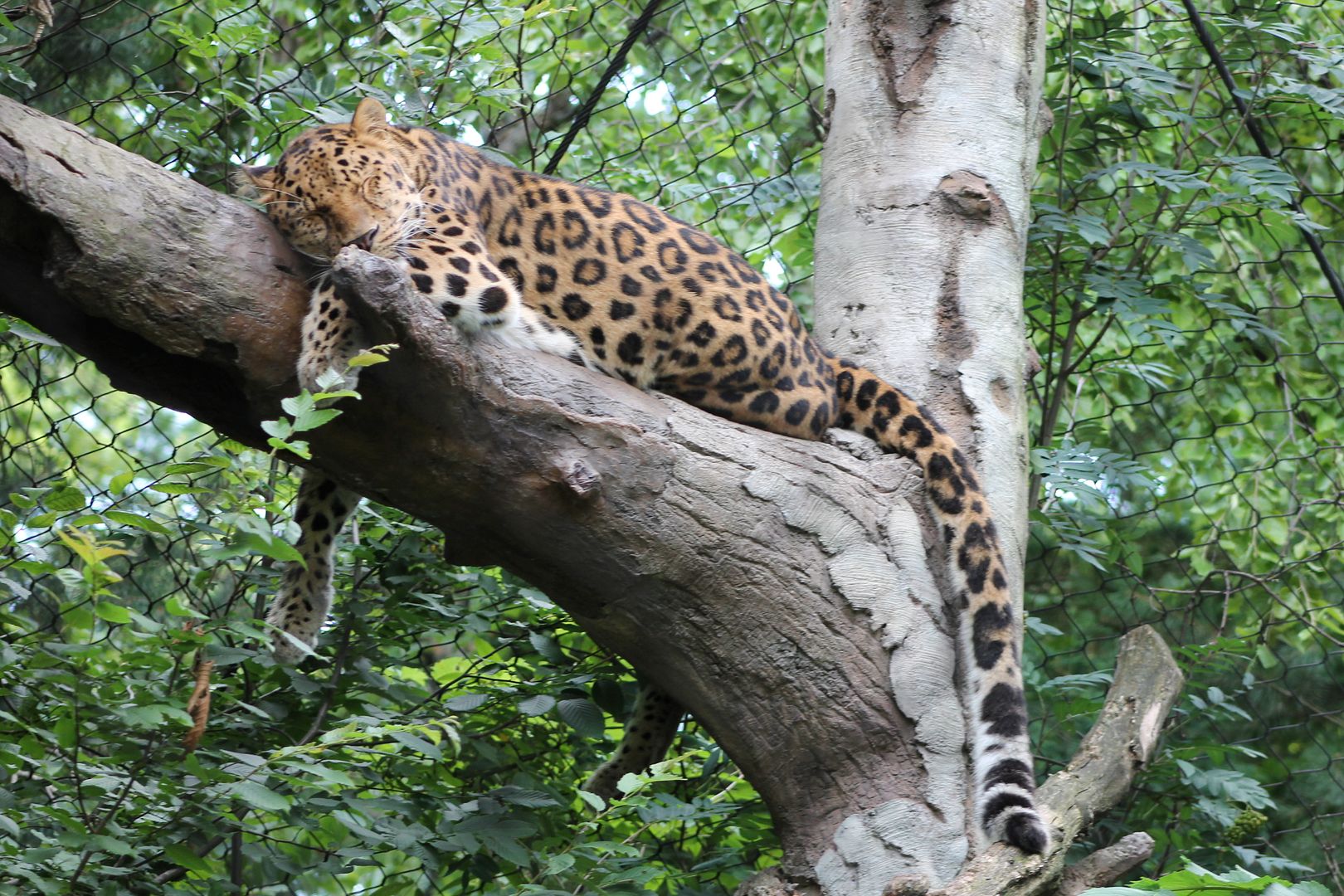 photo 021_zps6tusebsw.jpg