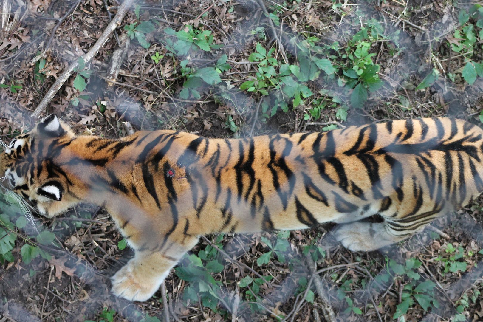 photo 026_zpsnayasajf.jpg