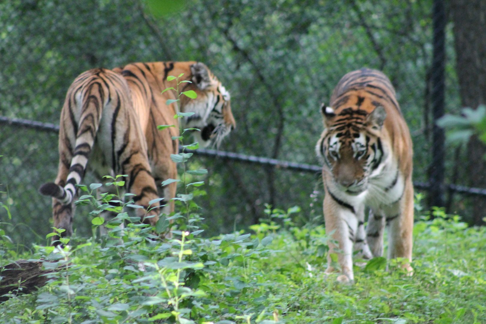 photo 033_zpsrxxjjvw0.jpg