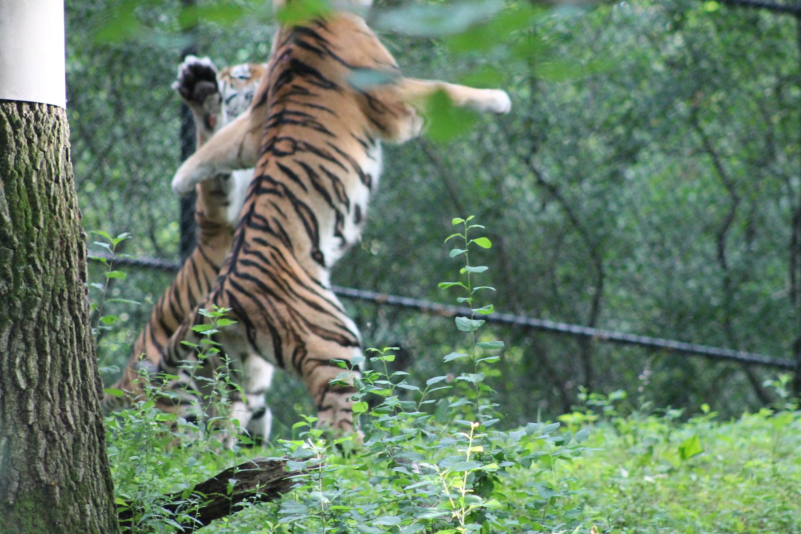 photo 034_zpsz9dbqfp6.jpg