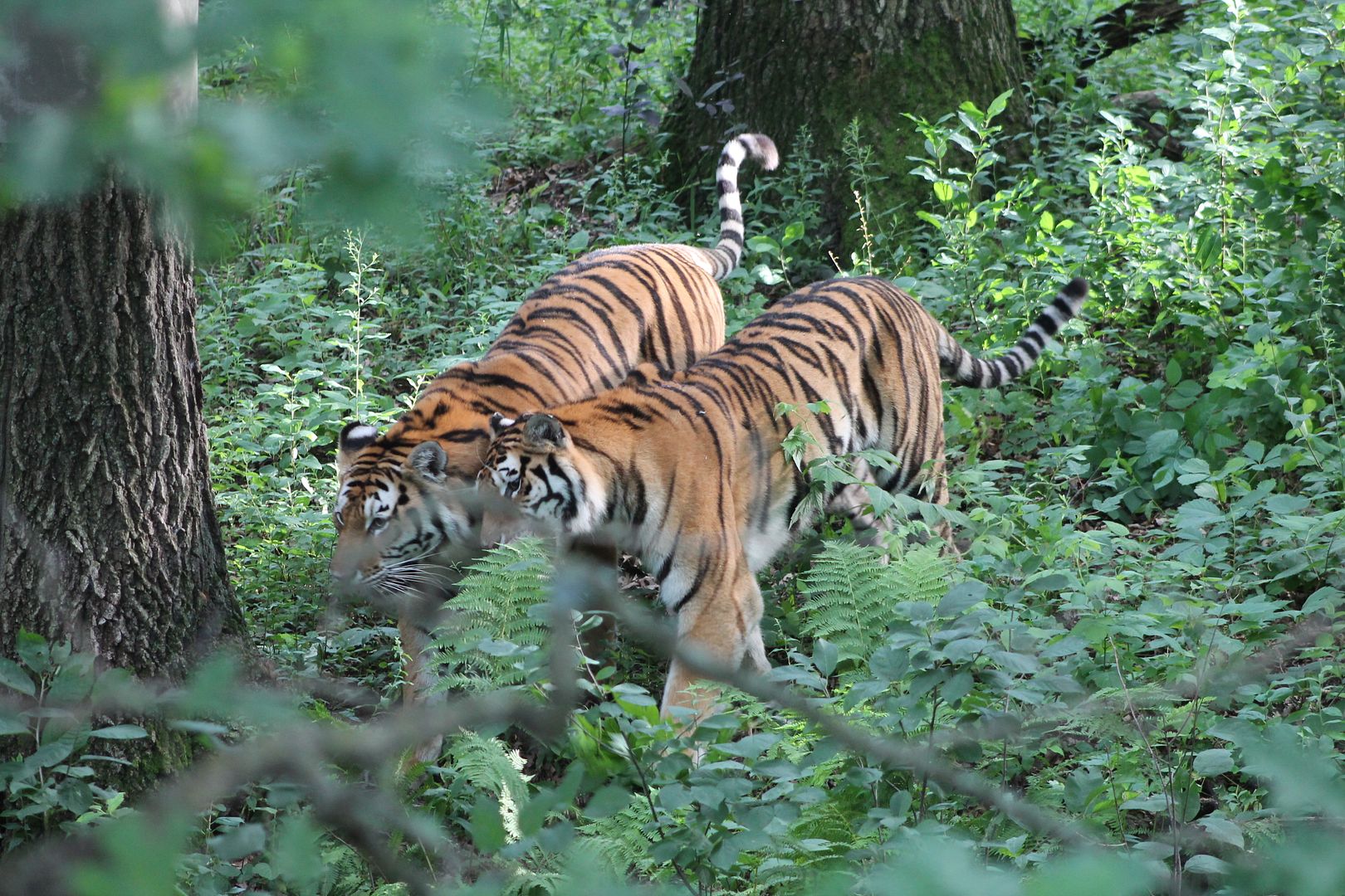 photo 036_zps0gjpka4n.jpg