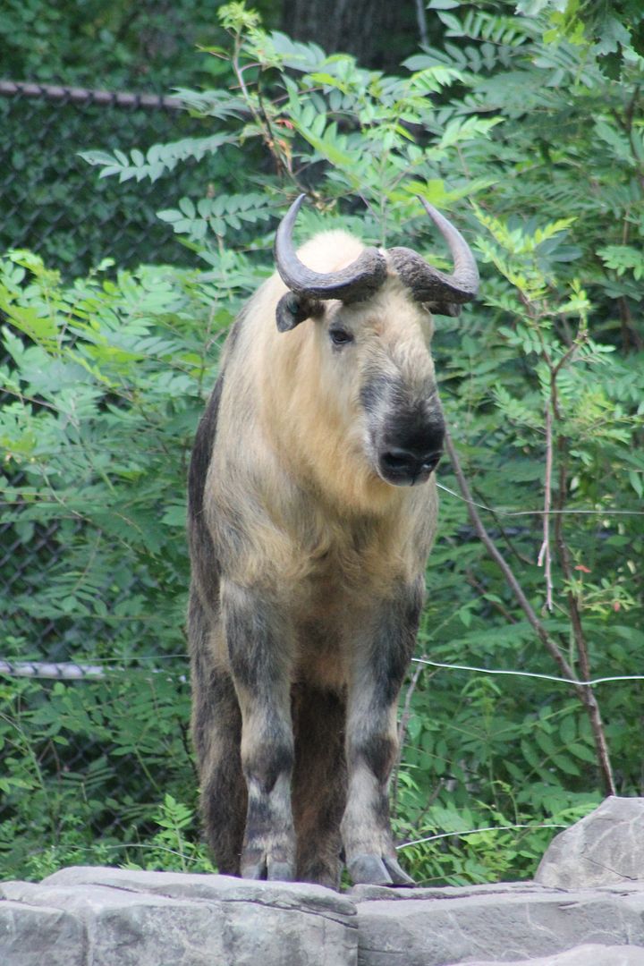 photo 040_zpsjdztsbk3.jpg