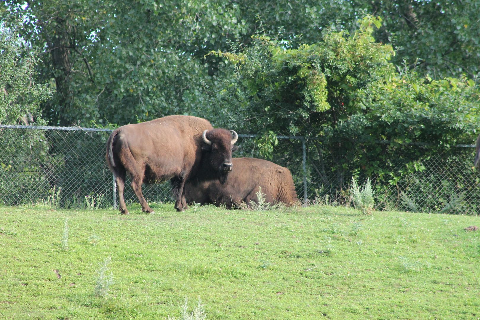 photo 043_zpslk43kqah.jpg