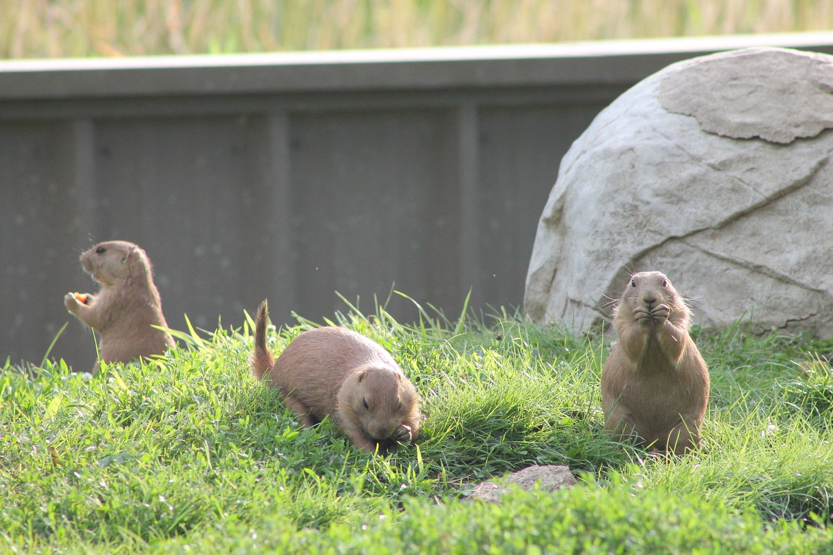 photo 047_zps5novrl82.jpg