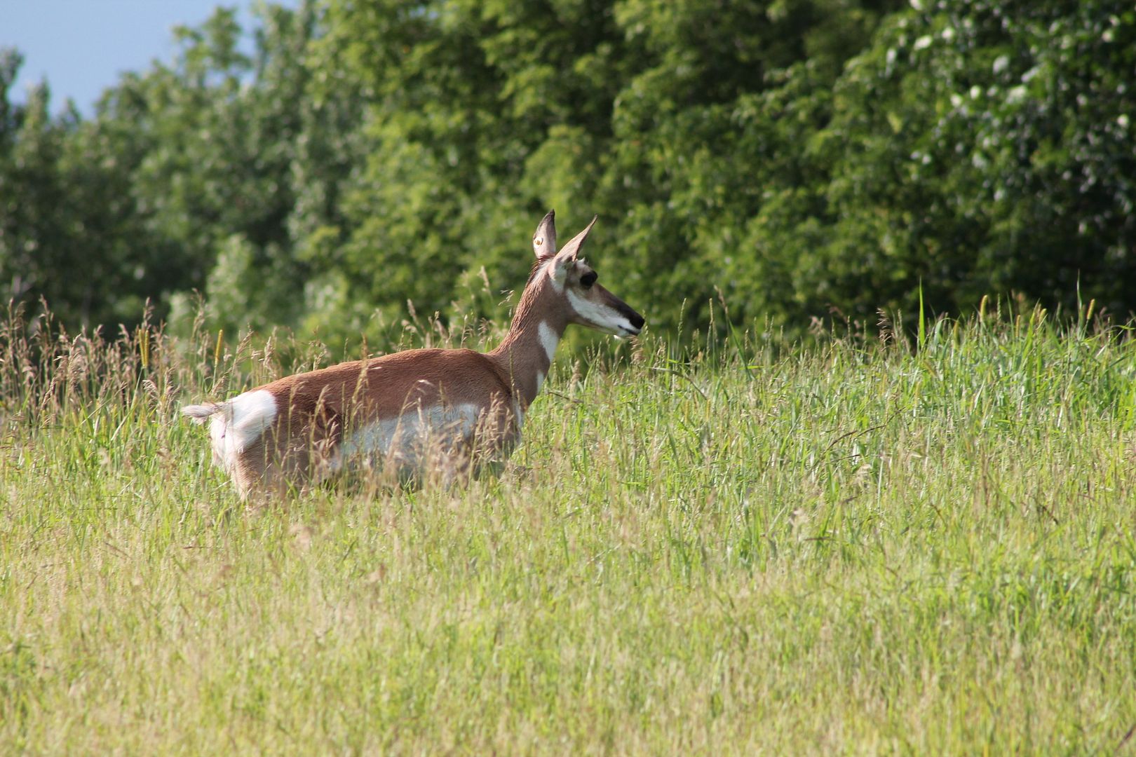 photo 050_zpsyhpdeiug.jpg