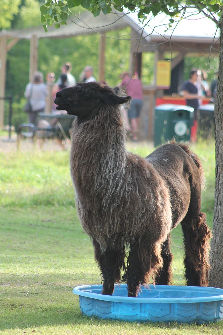 photo 051_zpszwc3v05c.jpg