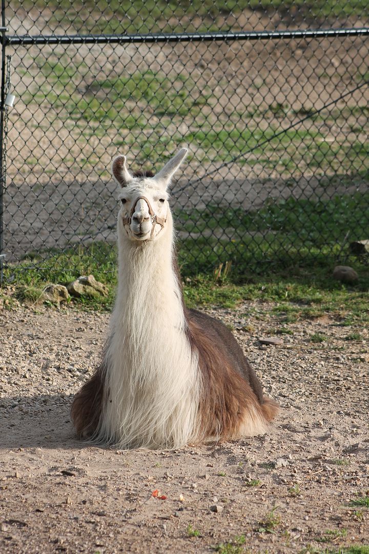 photo 052_zpslvptdfcf.jpg