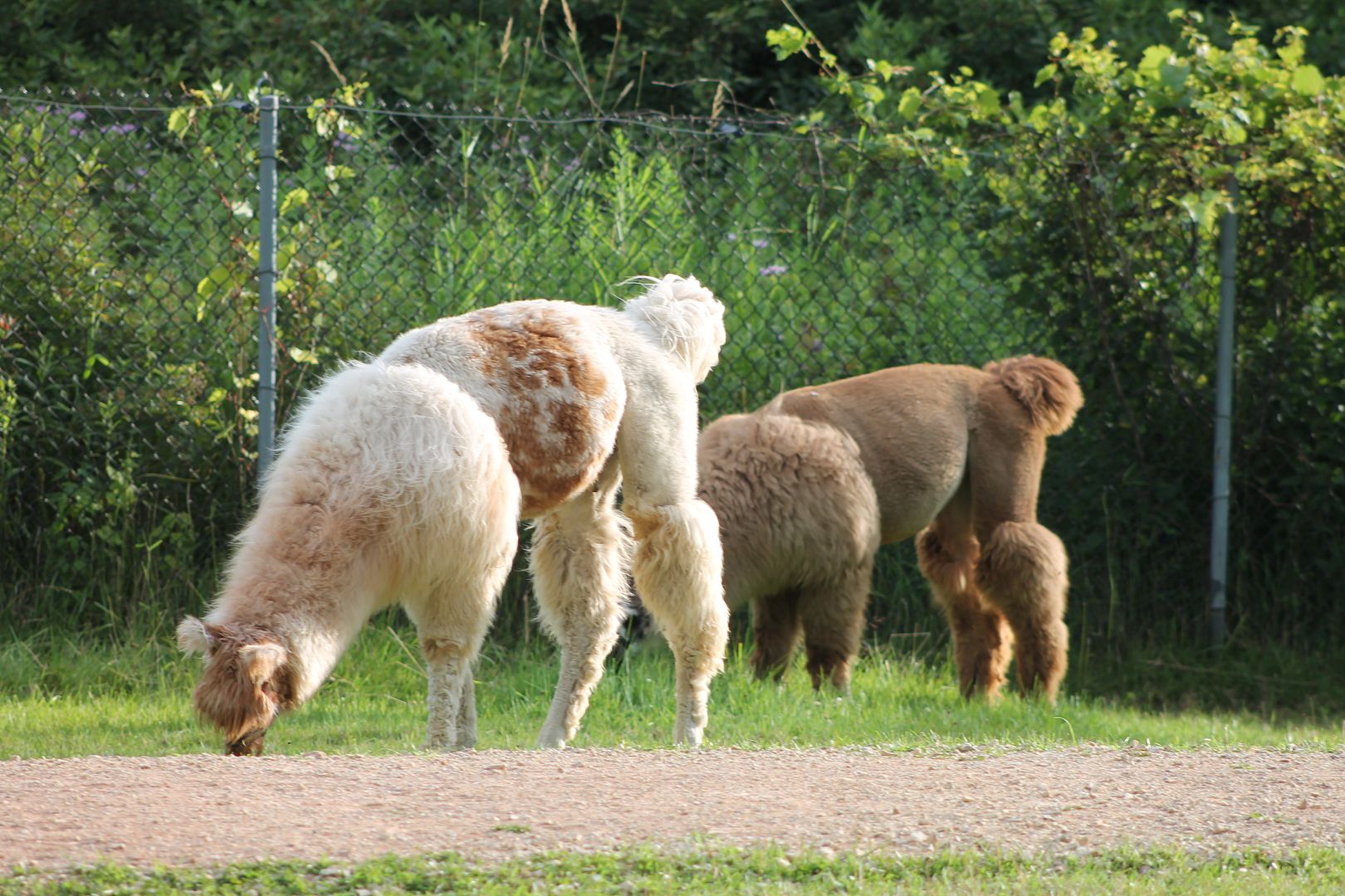 photo 055_zpsxfcbdkcs.jpg