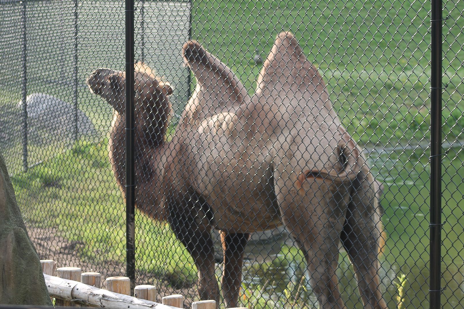 photo 056_zpsdv0giqgg.jpg