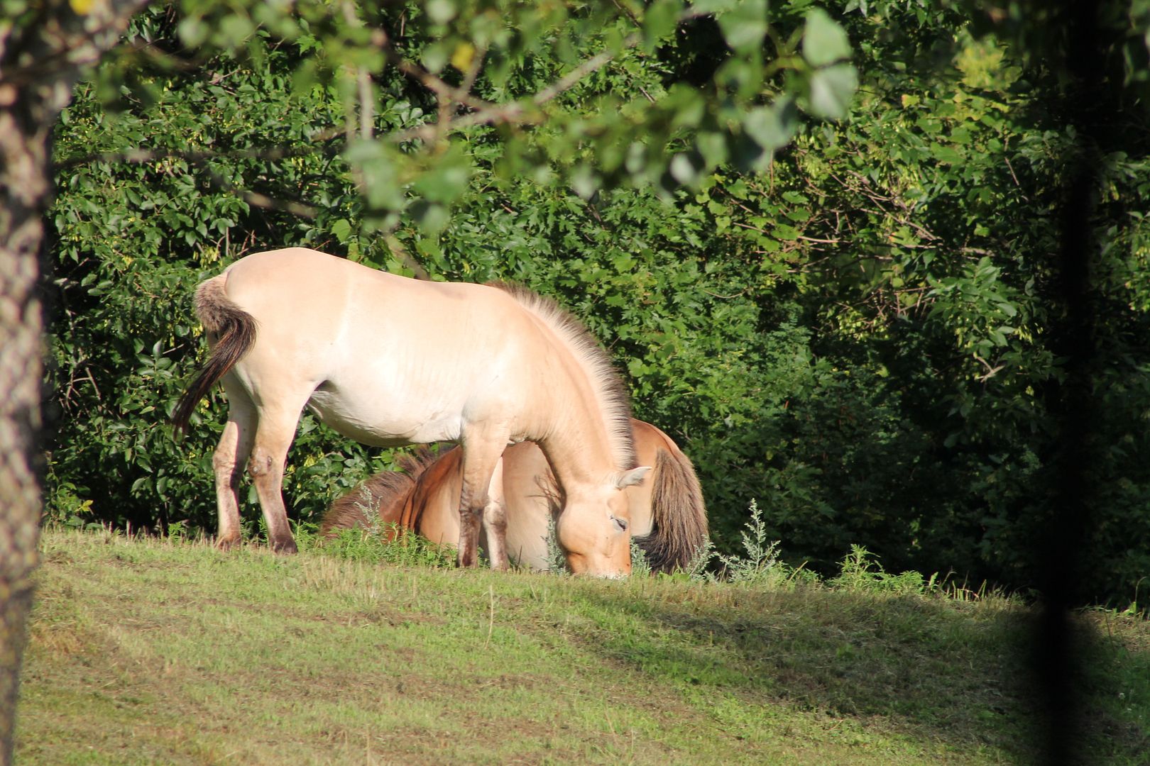 photo 058_zpsyiqmk1zi.jpg