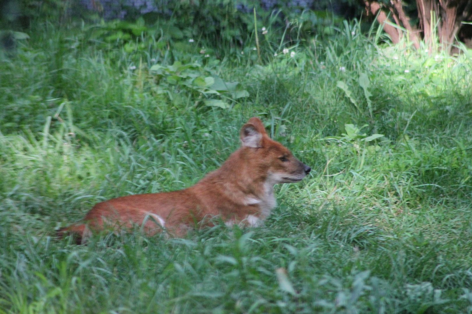 photo 063_zpszzr6nmgf.jpg