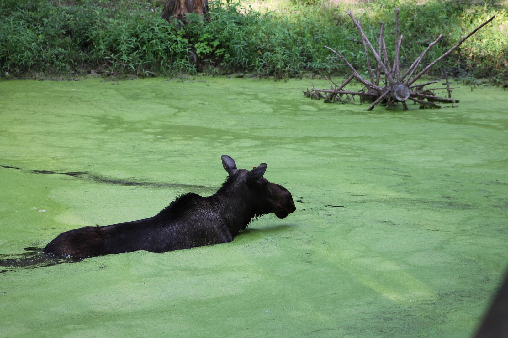 photo 066_zps4rb2wbjk.jpg