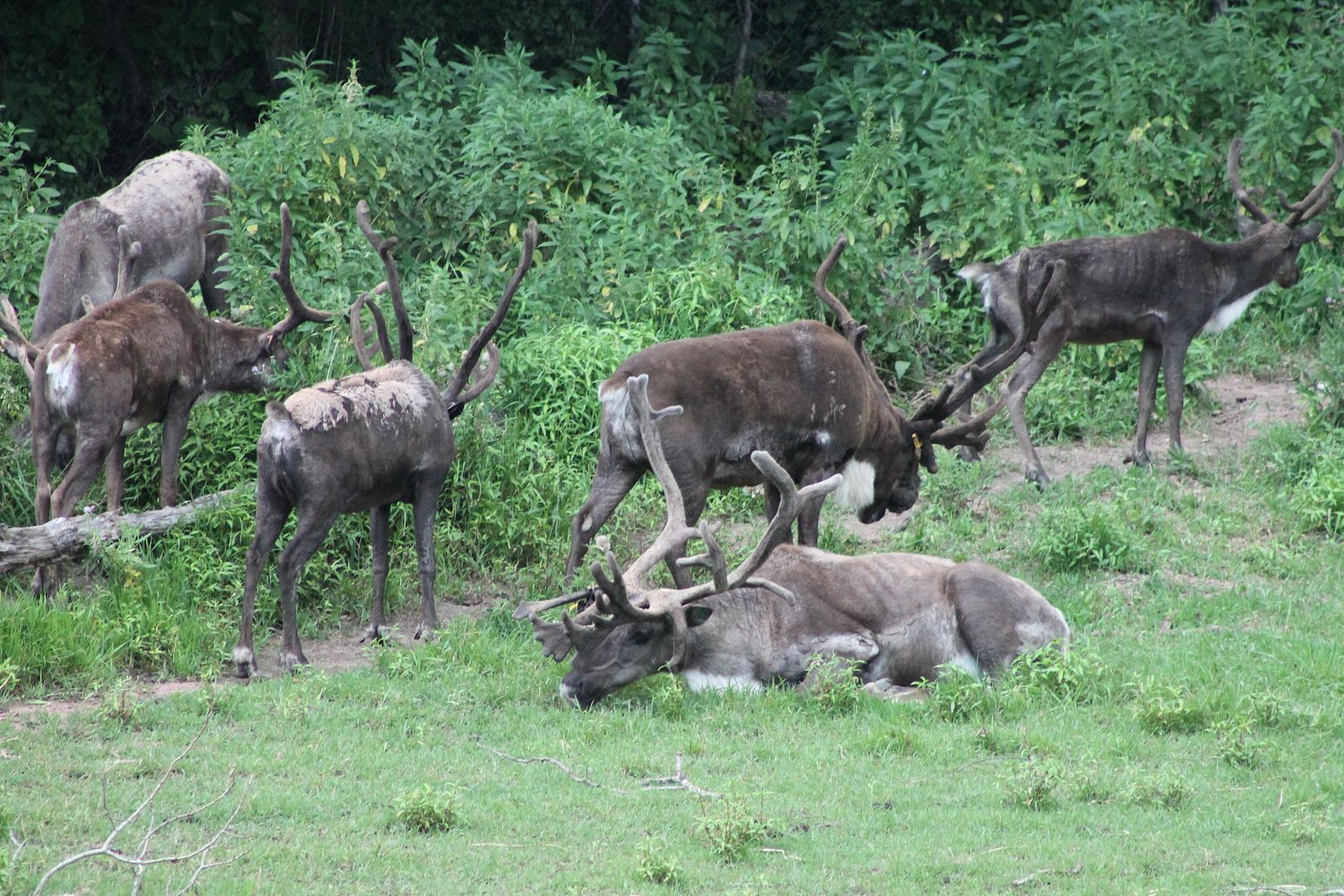 photo 069_zpsju9o4fr7.jpg