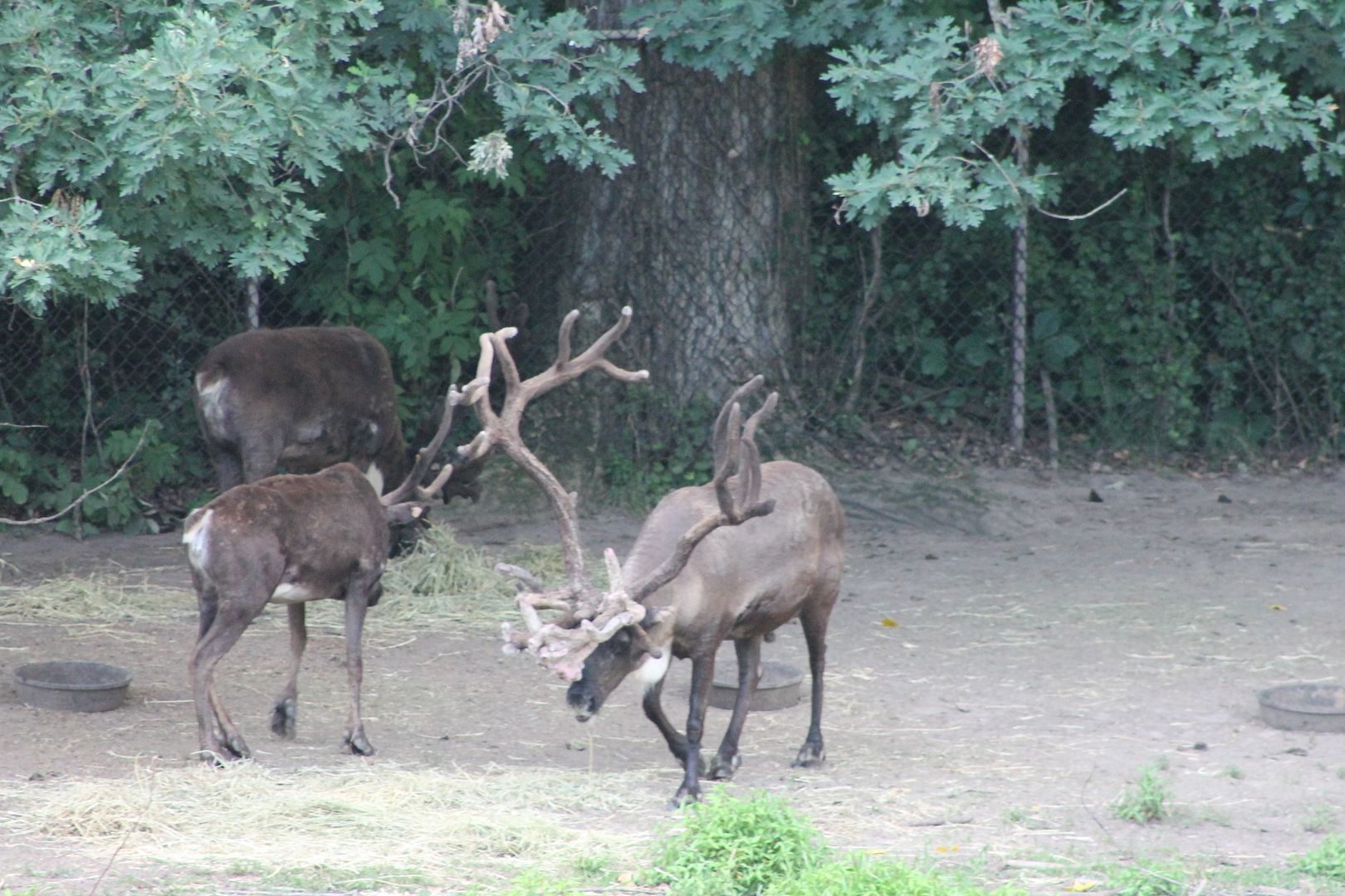 photo 074_zpsnhf0dqqo.jpg