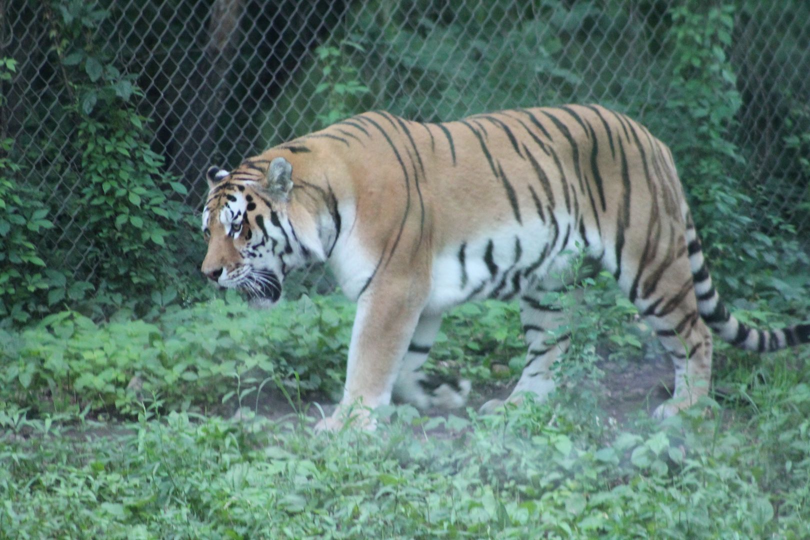 photo 082_zps1pxd5hbk.jpg