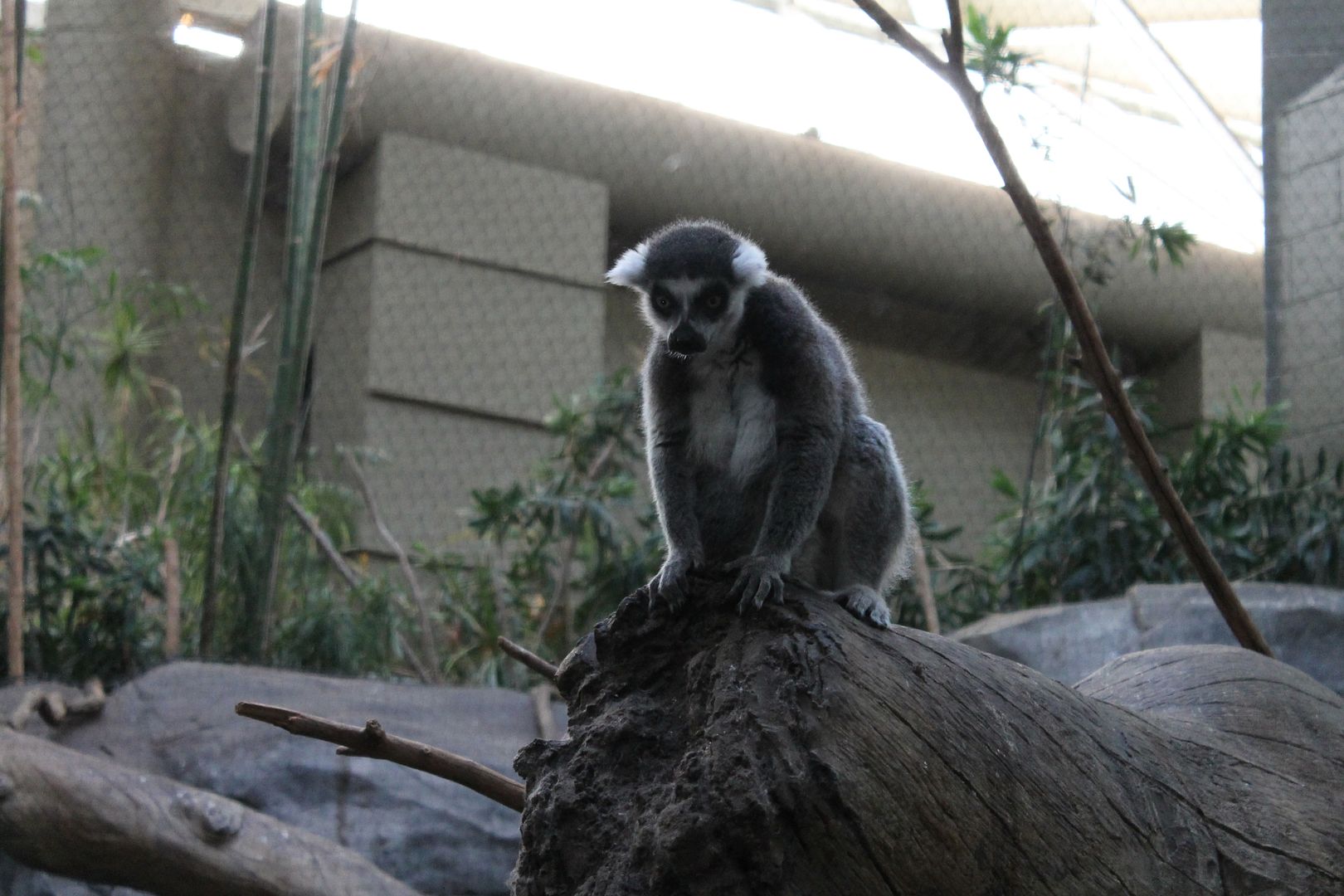 photo 085_zpsneal9bld.jpg