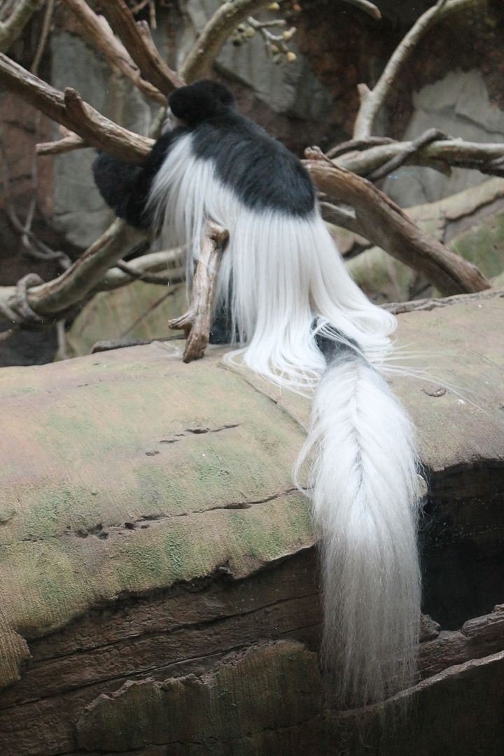 photo 089_zpstewwrydz.jpg