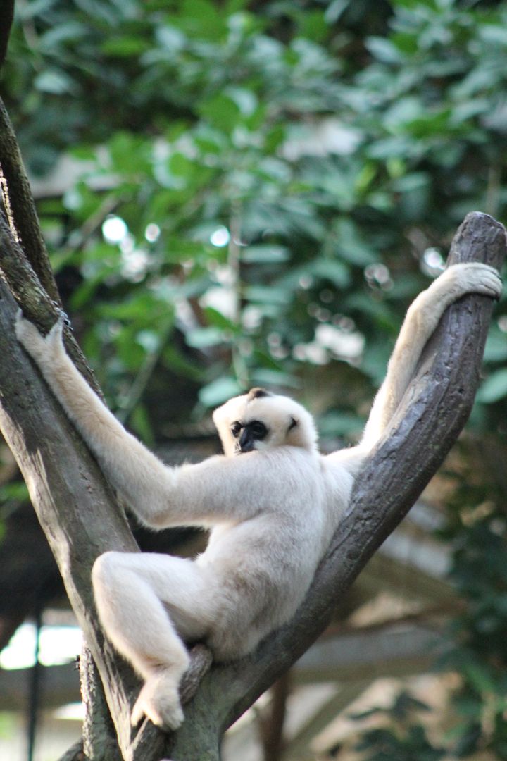 photo 095_zpsdqosdspc.jpg