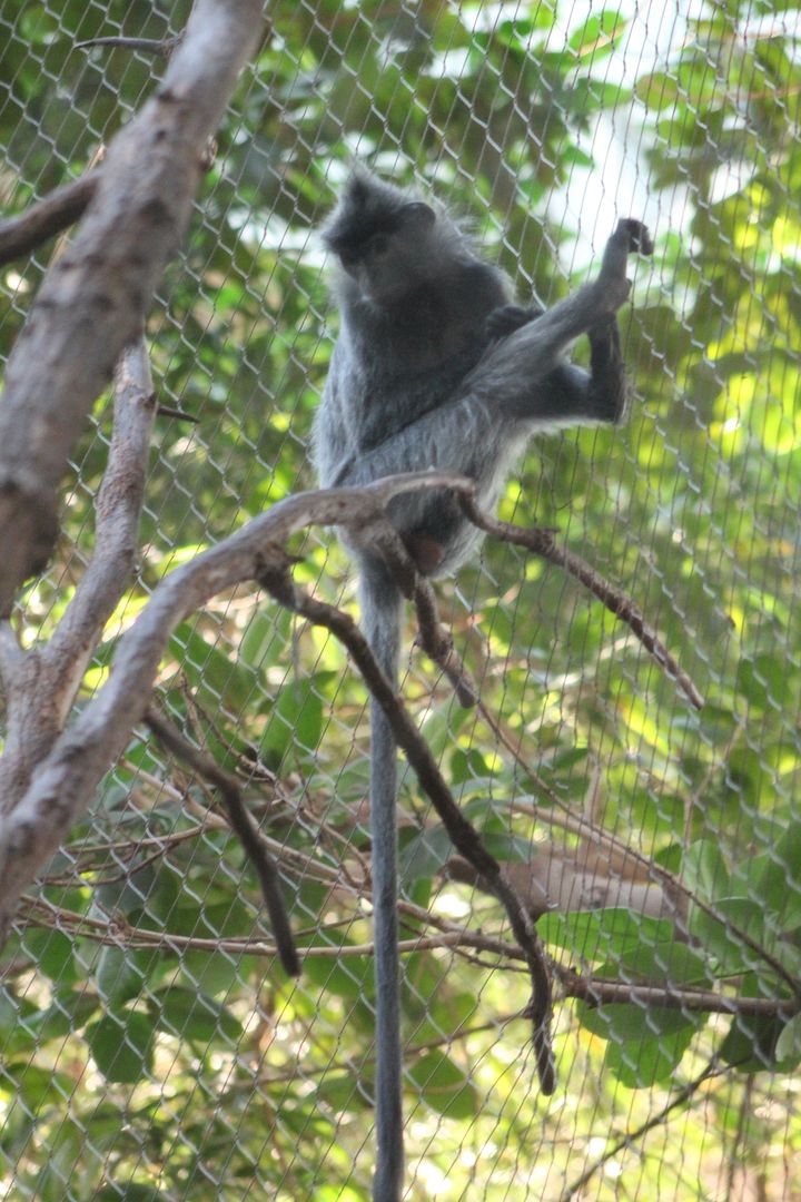 photo 101_zpsffhz0myp.jpg