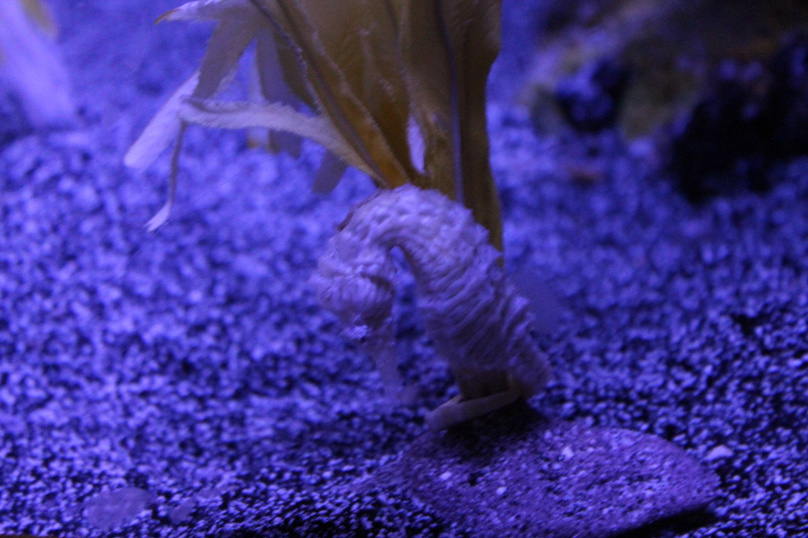 photo 128_zpsham7nvft.jpg