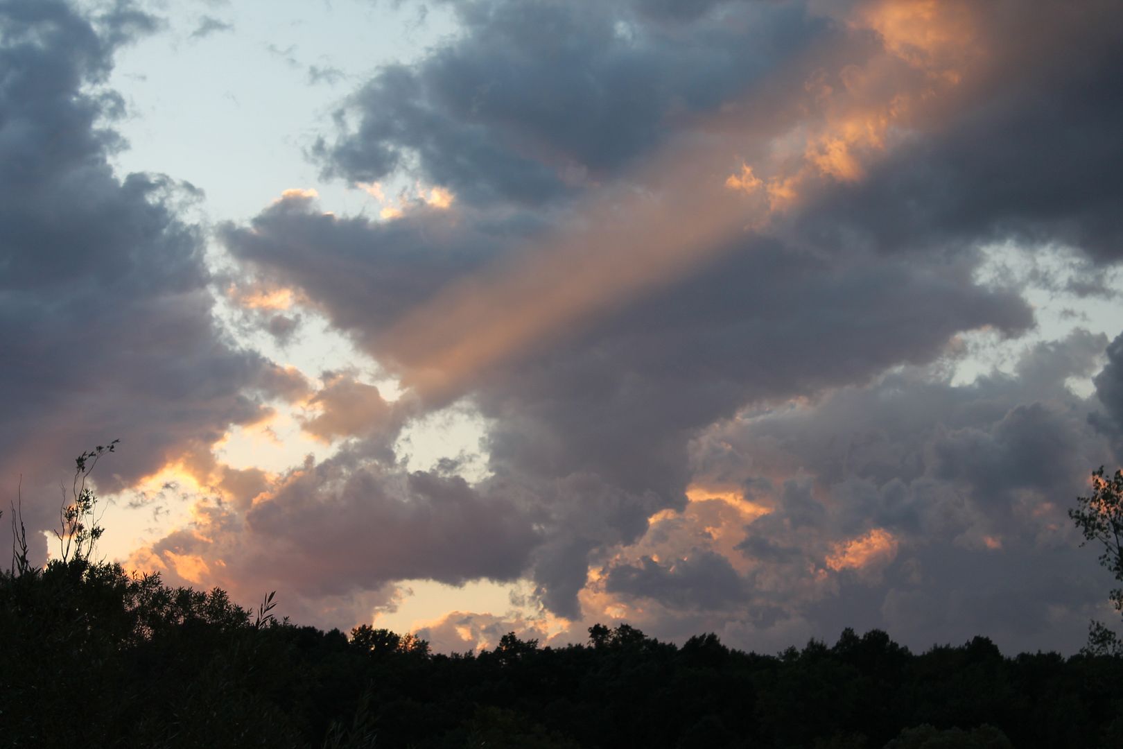 photo 146_zpsxjiugh80.jpg