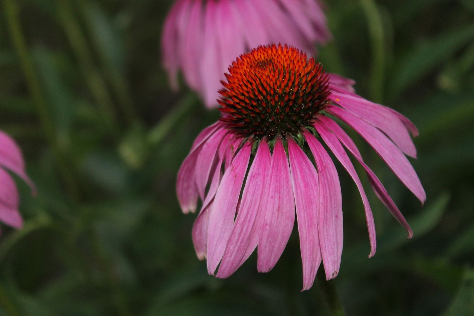 photo 153_zpszsiigg1v.jpg