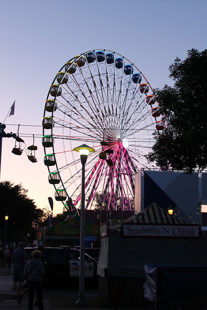  photo 048_zpsqnwifw6p.jpg