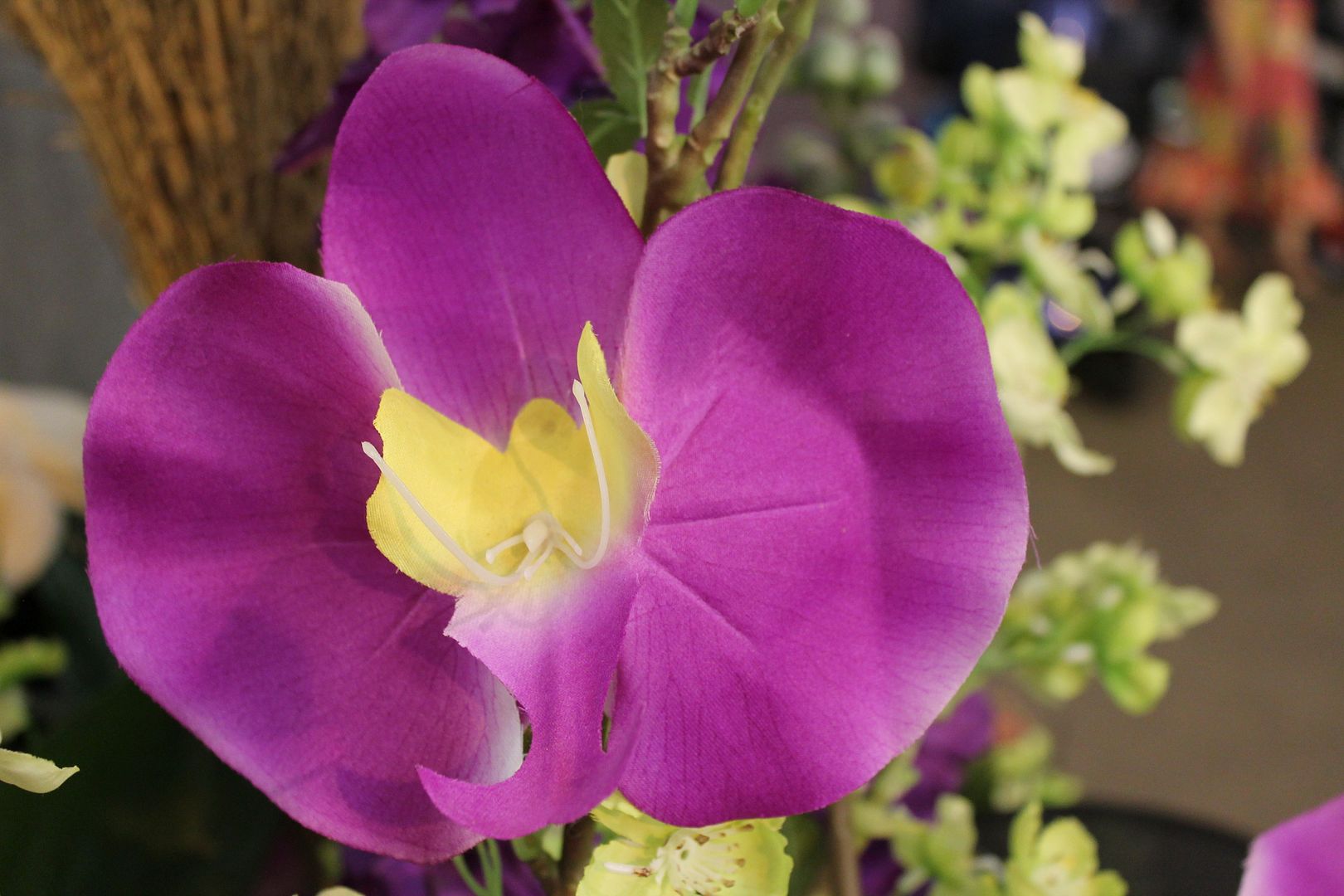  photo 092_zpsaf02a626.jpg