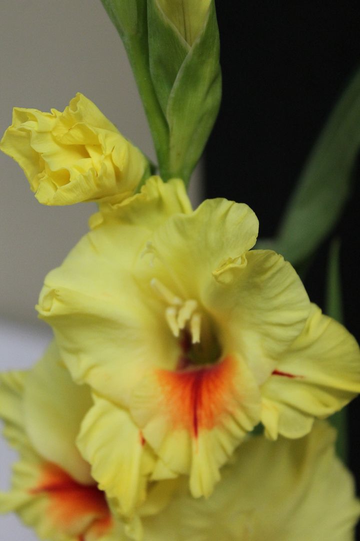  photo 094_zps1z0irhcd.jpg