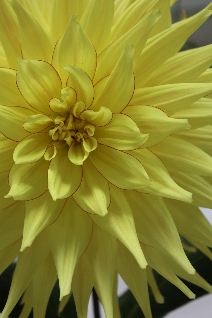  photo 098_zpsnyuursu7.jpg