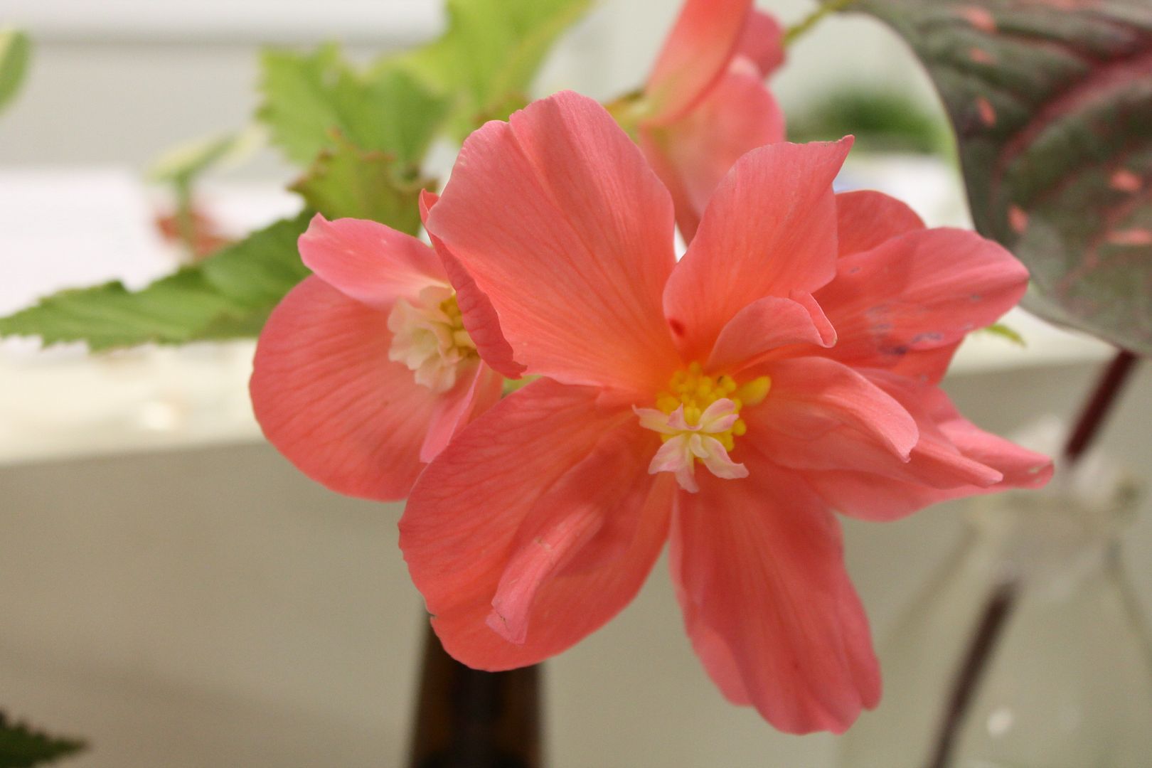  photo 106_zps7dkozluu.jpg